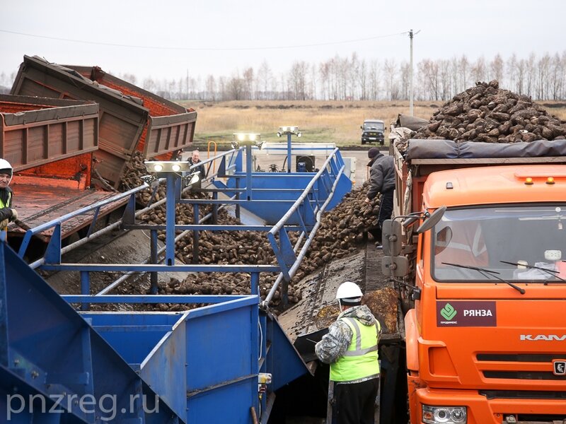    Фото: Pnzreg.ru