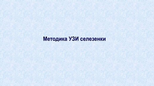 Ультразвуковая диагностика (УЗИ). Доктор Иогансен. Видеопримеры. Выпуск 33. Методика УЗИ селезенки.