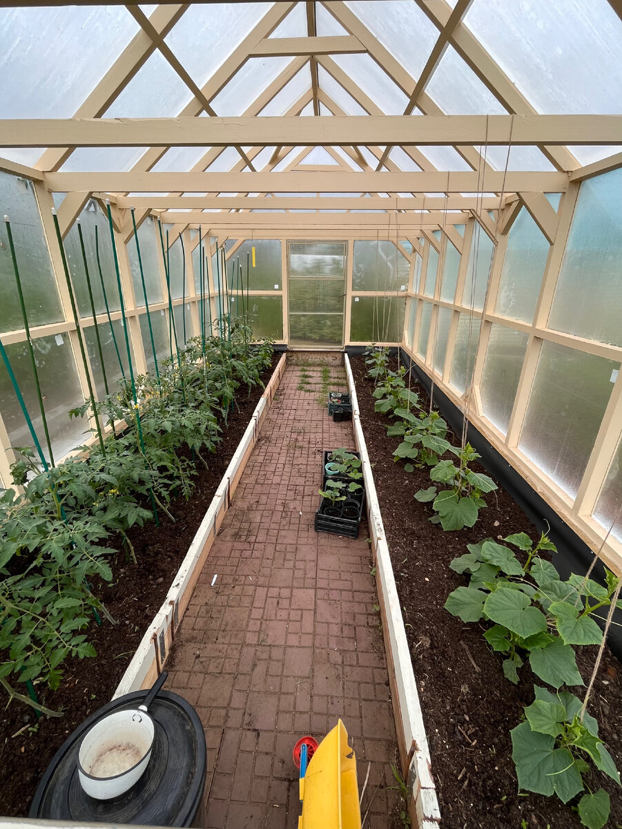 Деревянная теплица со стеклом