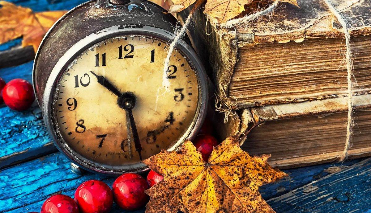 Картинки Яндекс