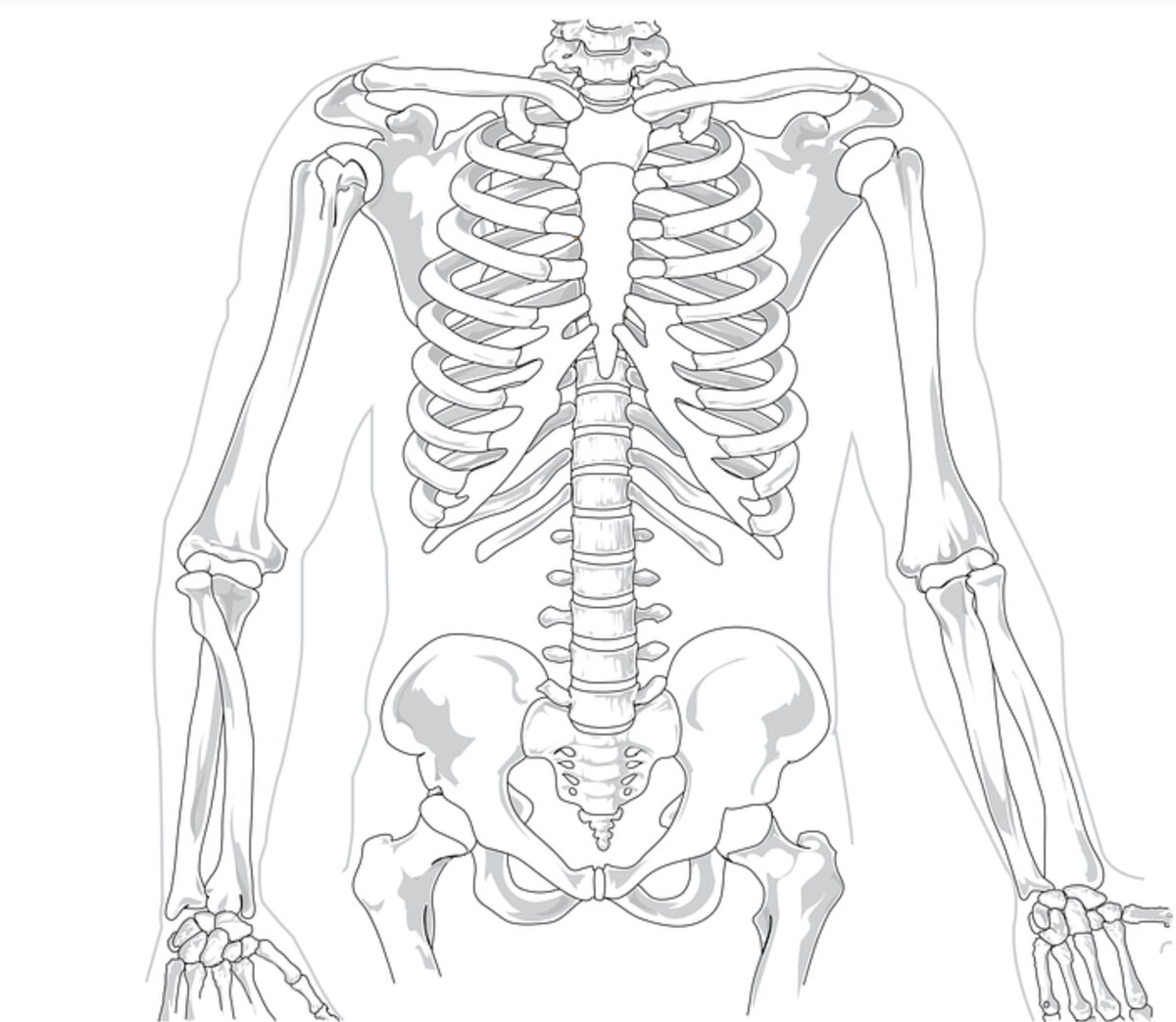 Фото pixabay.com