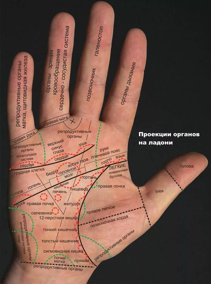                                         Изображение из открытых источников.