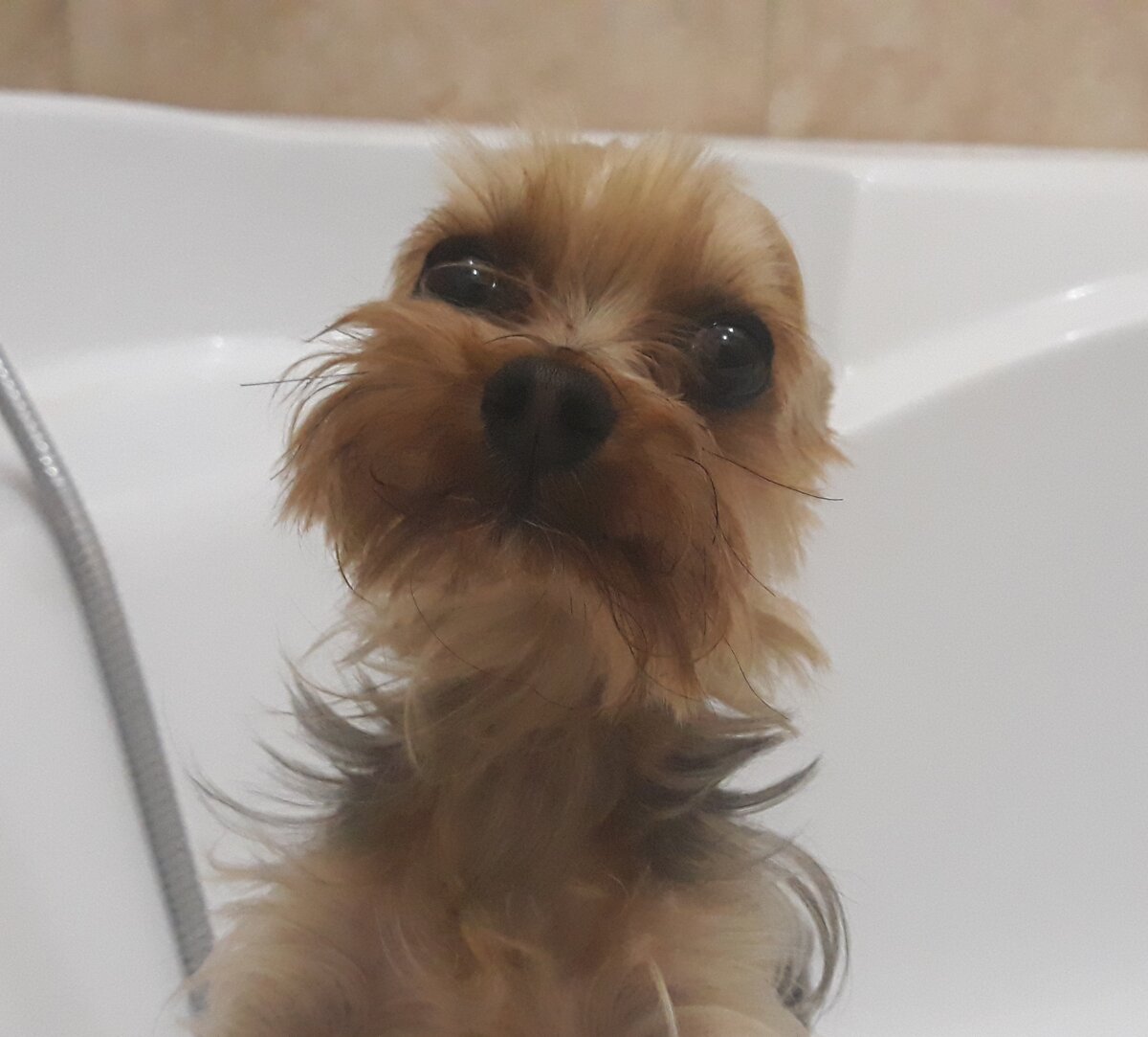 Может договоримся?