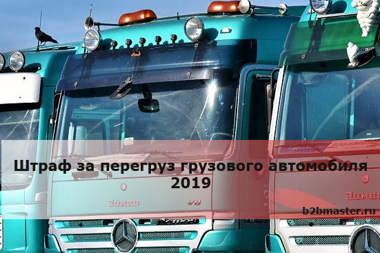 Фото: pixabay.com