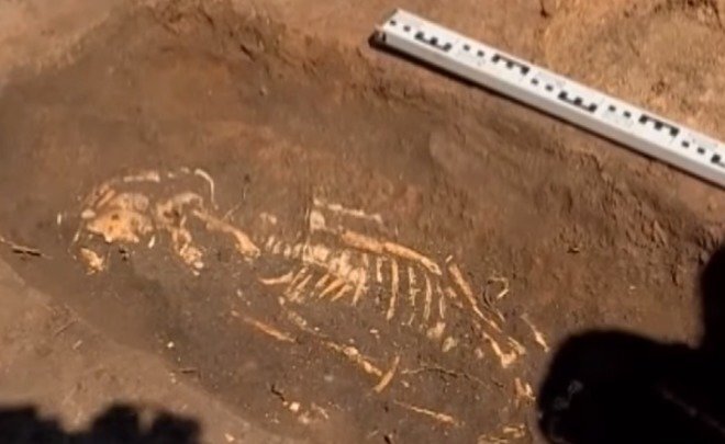  Фото: скриншот видео youtube.com