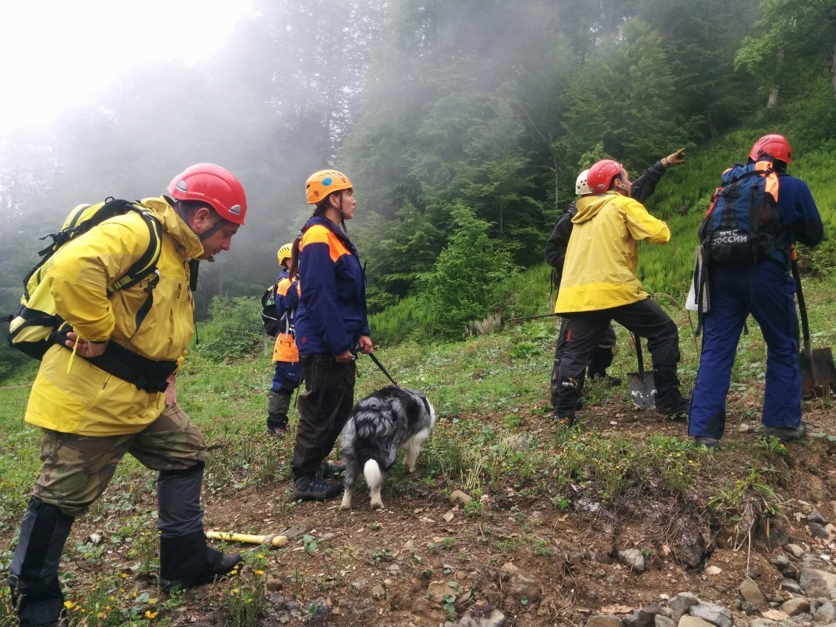 МЧС России спасение людей в горах. Спасатели МЧС ищут людей в горах и в лесу. Спасательные работы в горах. Поисково-спасательная операция.