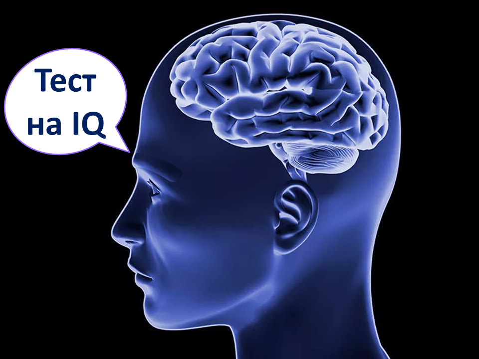 Iq человека норма. Тест на IQ. IQ интеллект. Тест на IQ фото. Отрицательный IQ.