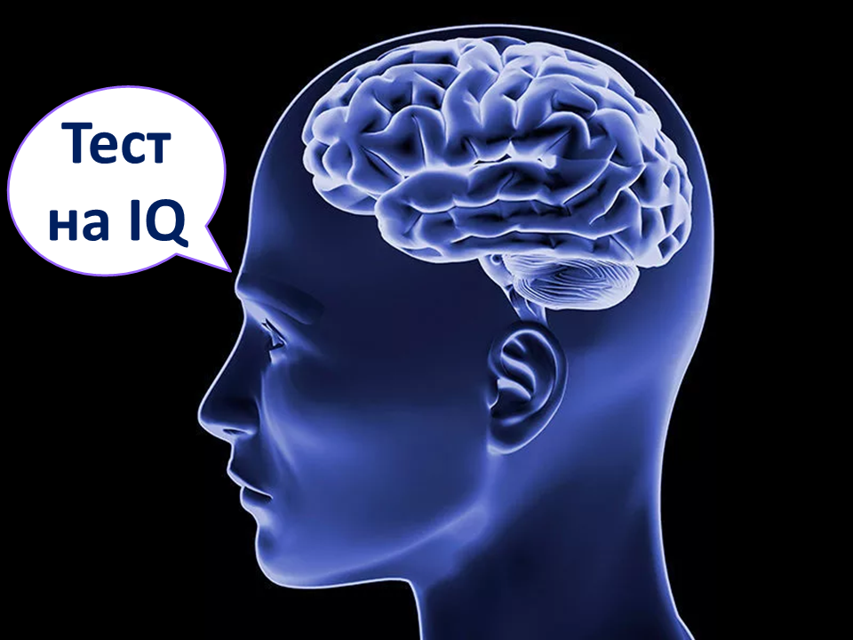 Известные тесты iq. Тест на IQ. Интеллект IQ. Тест на IQ фото. Тест на интеллект Массачусетского профессора.