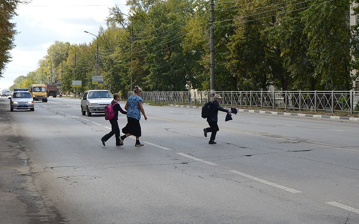 Не перебегай дорогу в неположенном месте картинки