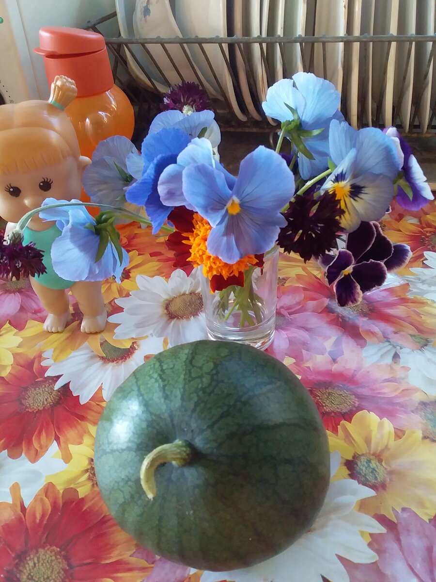  Сахарный малыш размером с грейпфрут