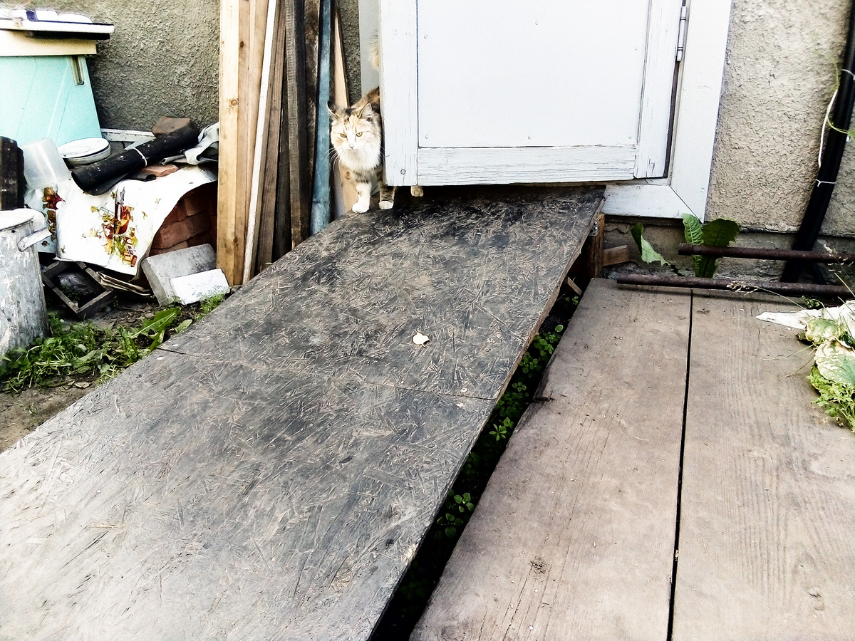 Выход в люди. Фото автора