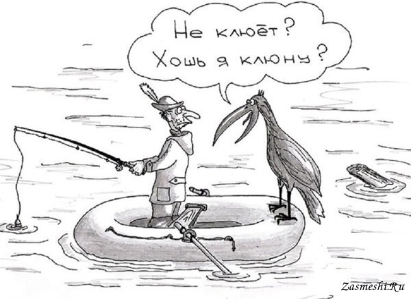 Источник картинки: https://zasmeshi.ru/caricature/category/583/fishing.html?page=4