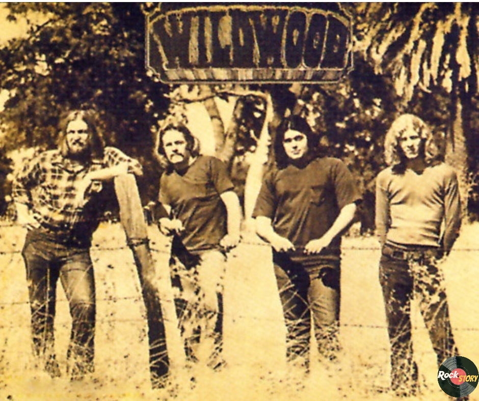 На фотографии участники группы The Wildwood 