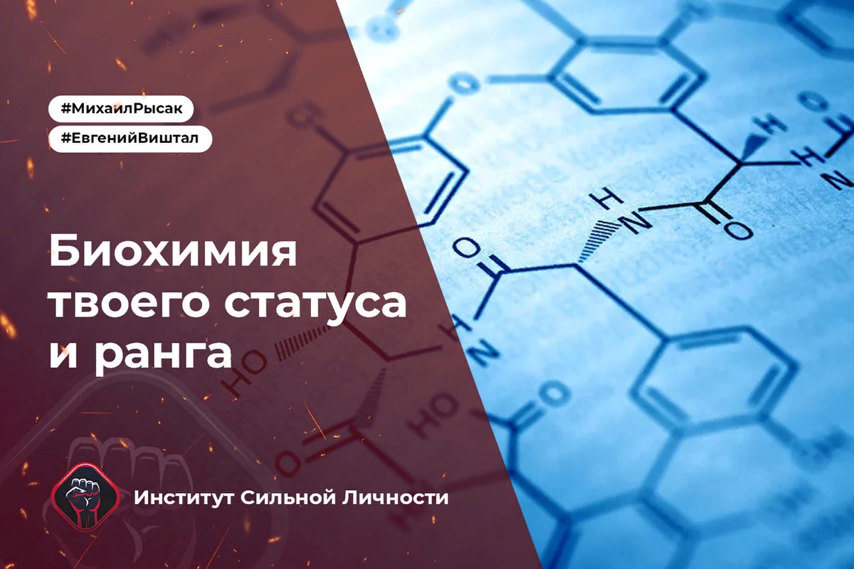 Фото взято из открытых источников