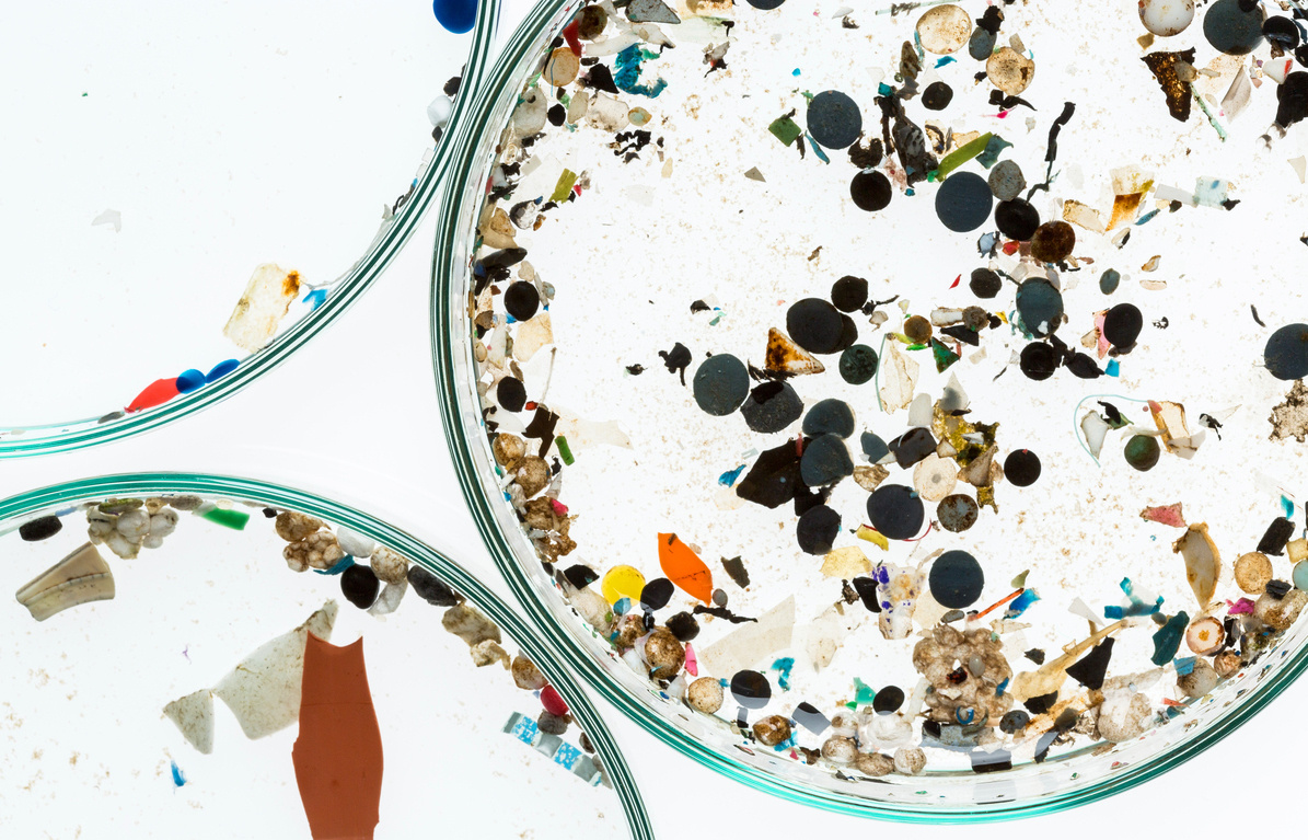 Фото микропластика, GreenPeace