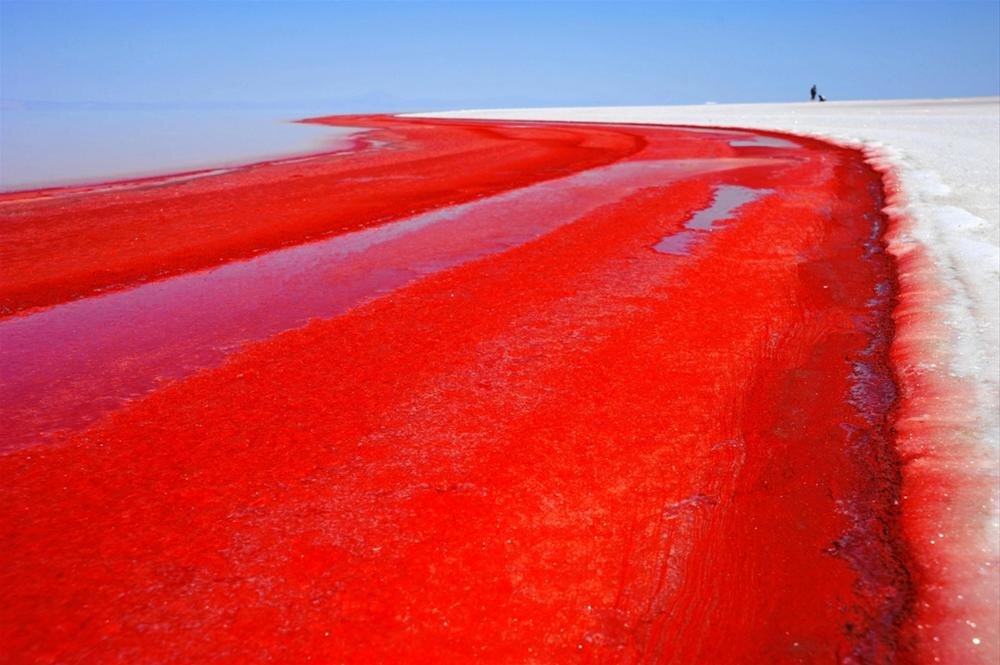 Красное море Евразия окрашенное