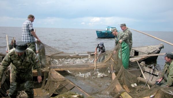 Не все рыбаки готовы продавать товар сами, а посредничество сетевых магазинов приводит к торговым наценкам Фото: Василия ПИЛЯВСКОГО