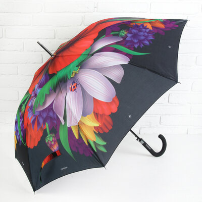 Красивый яркий зонт