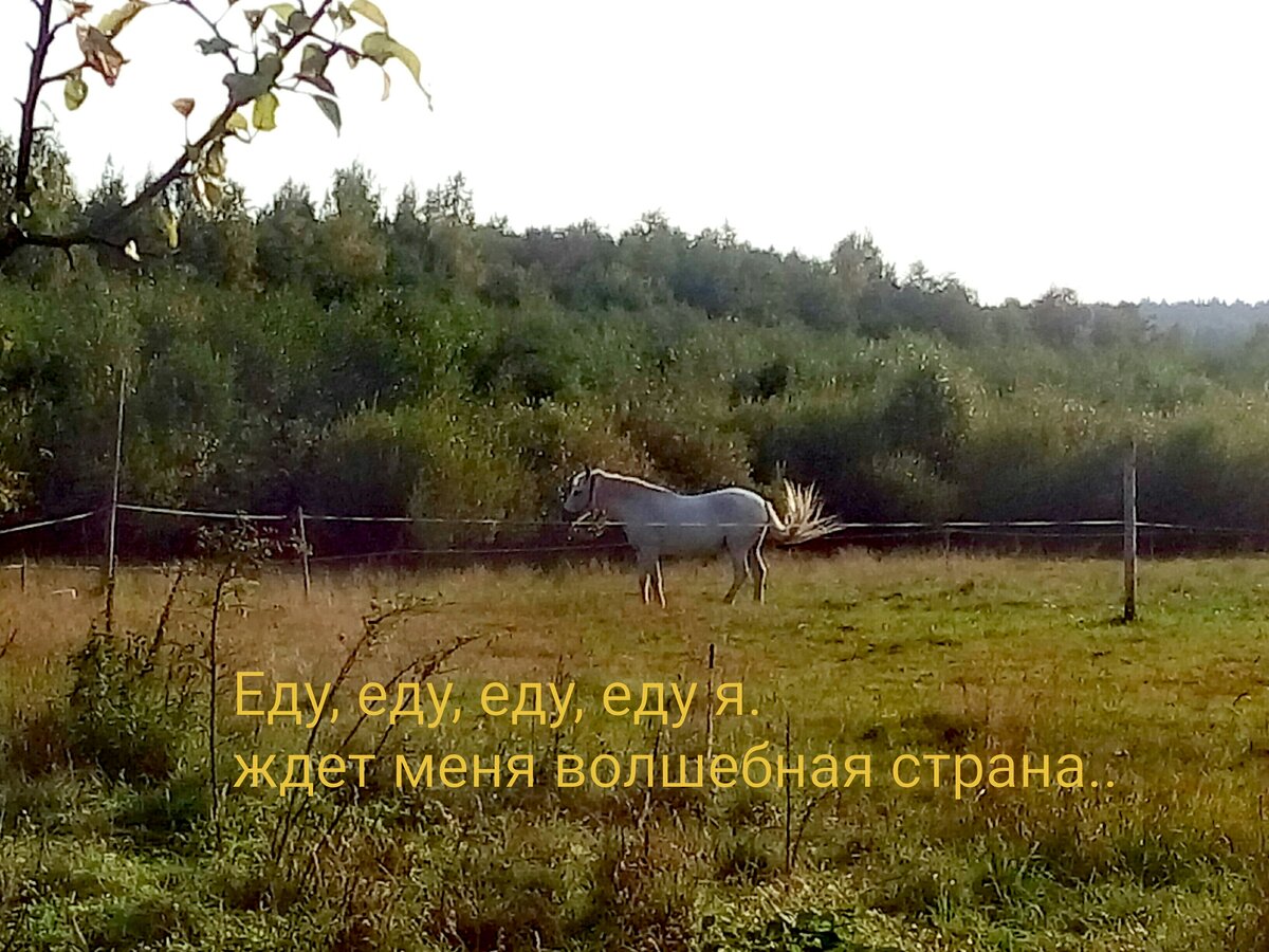 А что? Собрал рюкзачёк и поехал！
