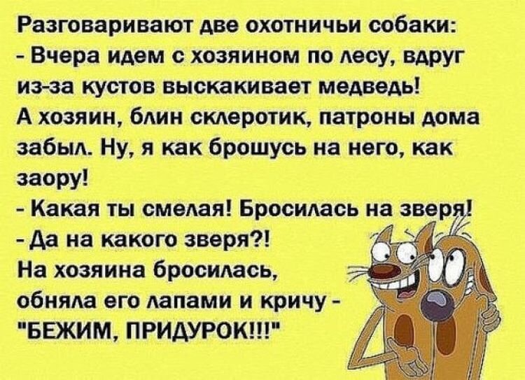 😁😁😁В университете на лекции по психологии. Профессор: – Сегодня мы изучим на примере три исходные стадии психики человека: удивление, раздражение и гнев. Профессор берёт телефон и набирает первый попавшийся номер. – Здравствуйте! А Васю можно? – А здесь такой не живёт. – Вот, – улыбается профессор, – это лёгкое удивление. Затем набирает номер снова. – Здравствуйте! А Вася не подошёл? – Да нет тут таких! Потирая руки, профессор заговорщицки подмигивает аудитории и третий раз набирает номер. – А Васи нет? – Да пошёл ты! – заорали в трубку. – Что ж, надеюсь, пример понятен. С первой парты встаёт студент. – Простите, профессор, но вы забыли четвёртую стадию. – Это какую же? – Стадию шока. Студент подходит к кафедре и набирает номер. – Добрый день! Это Вася. Мне никто не звонил?!                     😀😀😀😀Учительница привела школьников на экскурсию на стройку. Тут с 10 го этажа недостроенного дома выпадает мужик и разбивается насмерть. После экскурсии в классе учительница решила разобрать этот случай. – Как вы думаете, ребята, почему дядя упал? – спрашивает учительница. Машенька тянет руку и говорит: – Дяденька не соблюдал технику безопасности. – Может быть, – говорит учительница. – А ты, что думаешь, Витенька? – Может быть дядя был пьяный, – отвечает Витя. – Не исключено, – говорит учительница. Тут Вовочка тянет руку: – Дяденька ругал мою маму. – Как это Вовочка? Что он такого говорил? – спрашивает учительница. – Он кричал: «Мальчик, твою мать, не шатай лестницу».                                 ***      😀😀😀        Муж с женой приходит к врачу. После его осмотра врач просит мужа выйти и говорит жене: — Ну что, ваш муж болен смертельной болезнью! Спасти его сможете только вы… Для этого вам нужно каждый день кормить его хорошим завтраком, готовить ему теплую ванну, делать массаж, готовить всевозможные блюда, какие он только пожелает, одеваться для него всегда cекcуально и возбуждающе, вечерами смотреть с ним его любимые передачи или выходить с ним на прогулку, ни в коем случае не тревожить и не нервировать его и выполнять его любое желание! Тогда ваш муж проживет еще много-много лет. По дороге домой муж спрашивает: — Муся, ну что ты молчишь? Что сказал врач? Жена, мрачно: — Вася, ты скоро умрешь… Длинные самые смешные анекдоты                                                                                   😉😉😉*** Идёт экзамен. Профессор: – На борту самолета – 500 кирпичей. Один кирпич выпал из самолета. Сколько кирпичей осталось на борту? Студент: – Ну, это легко! 499! Профессор: – Правильно. Следующий вопрос. Как положить слона в холодильник за 3 шага? Студент: – 1. Открыть холодильник. 2. Положить туда слона. 3. Закрыть холодильник! Профессор: – Хорошо. Как положить оленя в холодильник за четыре шага? Студент: – 1. Открыть холодильник. 2. Вытащить слона. 3. Положить оленя. 4. Закрыть холодильник! Профессор: – Отлично! Следующий вопрос: У царя зверей – льва – день рождения! Пришли все животные, кроме одного. Почему? Студент: – Потому, что олень всё ещё в холодильнике! Профессор: – Великолепно! Далее. Может ли бабуля пройти через болото с крокодилами? Студент: – Конечно, может! Ведь все крокодилы на дне рождения «лёвы»! Профессор: – Хорошо! А теперь последний вопрос: Бабуля прошла через пустое болото, но всё равно умерла! Что с ней случилось? Студент: – Э э э! Она утонула? Профессор: – А вот и нет! На неё упал кирпич, который выпал из самолёта! НА ПЕРЕСДАЧУ! *                                                                            😉😉😉** Три генерала – сухопутных войск, военно-морских и военно-воздушных – сидели как-то и обсуждали, чьи солдаты отважнее. Сухопутный генерал, увидев проходящего мимо солдата, приказал тому встать перед надвигающимся танком. – Есть! – сказал солдат, и танк превратил его в лепешку. Да, согласились оба других генерала, это было отважно. Морской генерал, желая не отстать, тут же приказал своему мичману поймать летящий якорь. – Есть! – сказал мичман и замертво ушел с якорем под воду. Да, согласились оба других генерала, это было отважно. Воздушный генерал приказал во весь голос одному из пилотов поймать садящийся МиГ 27. – Да пошёл ты!!! – ответил ему пилот. И оба других генерала воскликнули: – Вот это было действительно ХРАБРО!                                                   😁😁😁 *** По степи скачут три богатыря. Вдруг перед ними красивая девушка. Илья Муромец говорит: — Ребята, скачите дальше, а я вас догоню. Поскакали Добрыня с Алешей Поповичем дальше. Вдруг перед ними девушка еще красивее предыдущей. Добрыня Никитич говорит: — Алеха, скачи дальше, а я тебя позже догоню. Поскакал Алеха дальше. Вдруг перед ним девушка просто обалденная. Алеха остановился, подумал, подумал — дальше девушки все красивее, поеду-ка я дальше. Едет дальше. Опять перед ним девушка, уже обнаженная и небесной красоты. Алеха опять думает: «поеду-ка я дальше, может будет еще лучше». Тут ему конь и говорит: — Леха, ты беги дальше, а я тебя догоню… *** Шла-шла Красная Шапочка по лесу. Вдруг видит — сидит Серый Волк под деревом. — Какие у тебя большие глаза, Серый Волк! — сказала Красная Шапочка. Серый Волк сорвался с места и убежал. Идет Красная Шапочка дальше. Перешла ручеек лесной. Вдруг видит — Серый Волк за пеньком притаился. — Какие у тебя большие уши, Серый Волк! — сказала Красная Шапочка. А Серый Волк только — зырк! — на Красную Шапочку. И сбежал. Идет она дальше. Пробирается через чащобу. Вдруг — глядь! — в чащобе под сосенкой Серый Волк сидит. — Какие у тебя зубищи, Серый Волк! — воскликнула Красная Шапочка. — Твою мать, ты мне посрать дашь или нет? — спросил Серый Волк.
