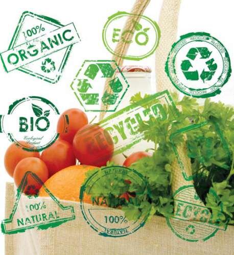 Казахская сеть супермаркетов green. Зеленого цвета вещи предметы. Зеленые товары. Green супермаркет спб. Предметы зеленого цвета.