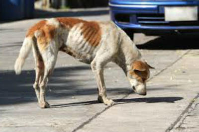 Опции лечения: