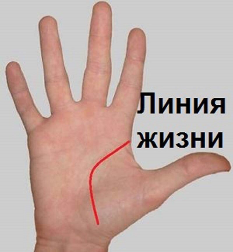 фото: яндекс