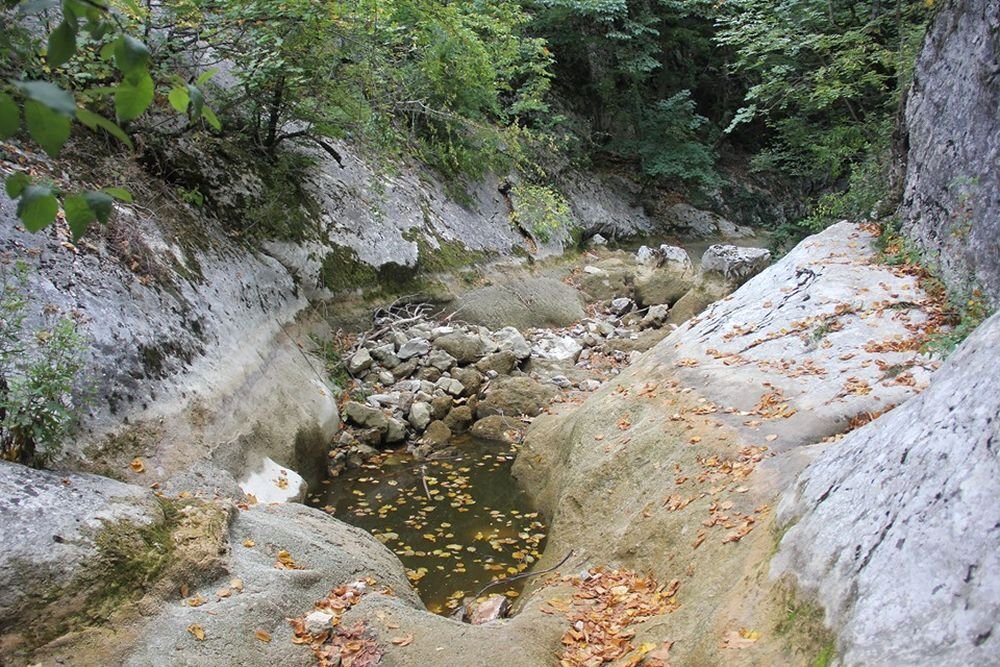 Обмелевшее русло реки Узунджа. Скриншот со страницы В. Илларионов в сети facebook. 