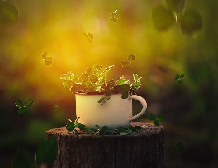 (фото Inna Suhova)