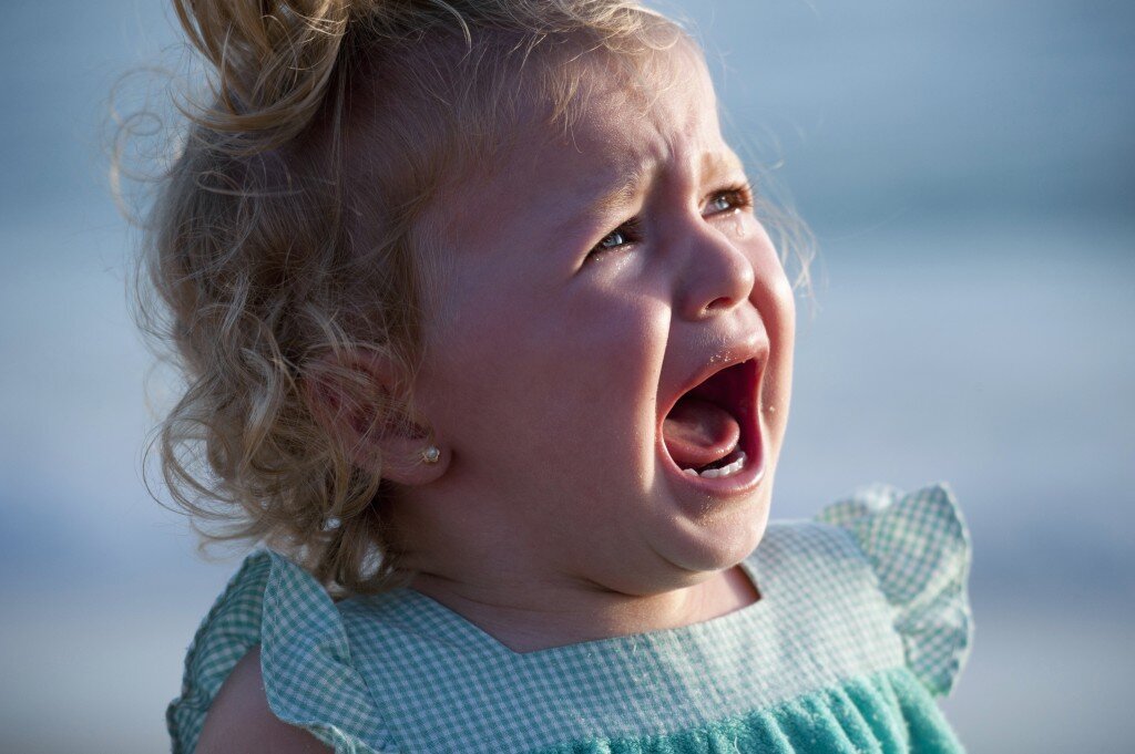 фото: Яндекс картинки