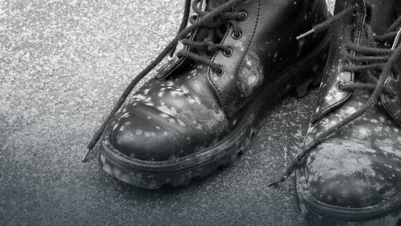 Как удалить плесень с обуви? Эффективные способы сохранить обувь |  Джентльмен Таймс | Дзен