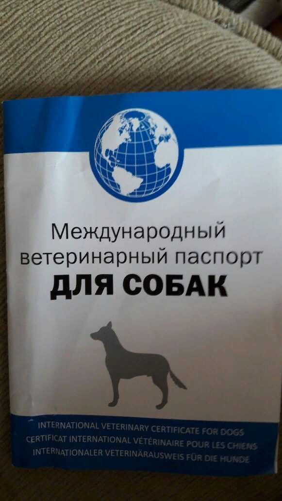 https://www.ge-ru.com/attachments/image-36544efee7d14be8e92ff98e978e89cda95cdb8792373b5316763ad65ba04d1f-v-jpg.41897/