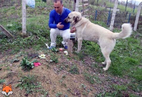 Рабочий с собакой.