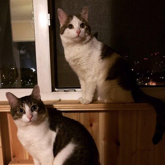 Что купила? :-)