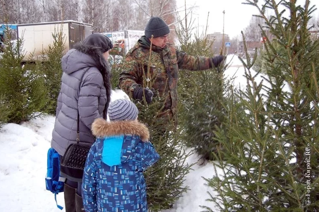 Ёлочный базар в Кирове