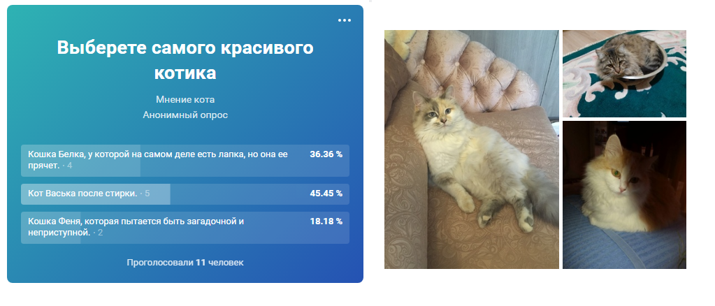 Да, к сожалению, милая белая кошечка, за которую я болел, в финал не вышла... )))