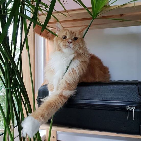 Тася спряталась