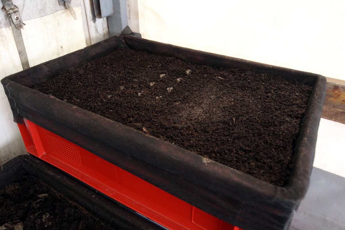 Источник изображения: topdialog.ru, Илья Снопченко