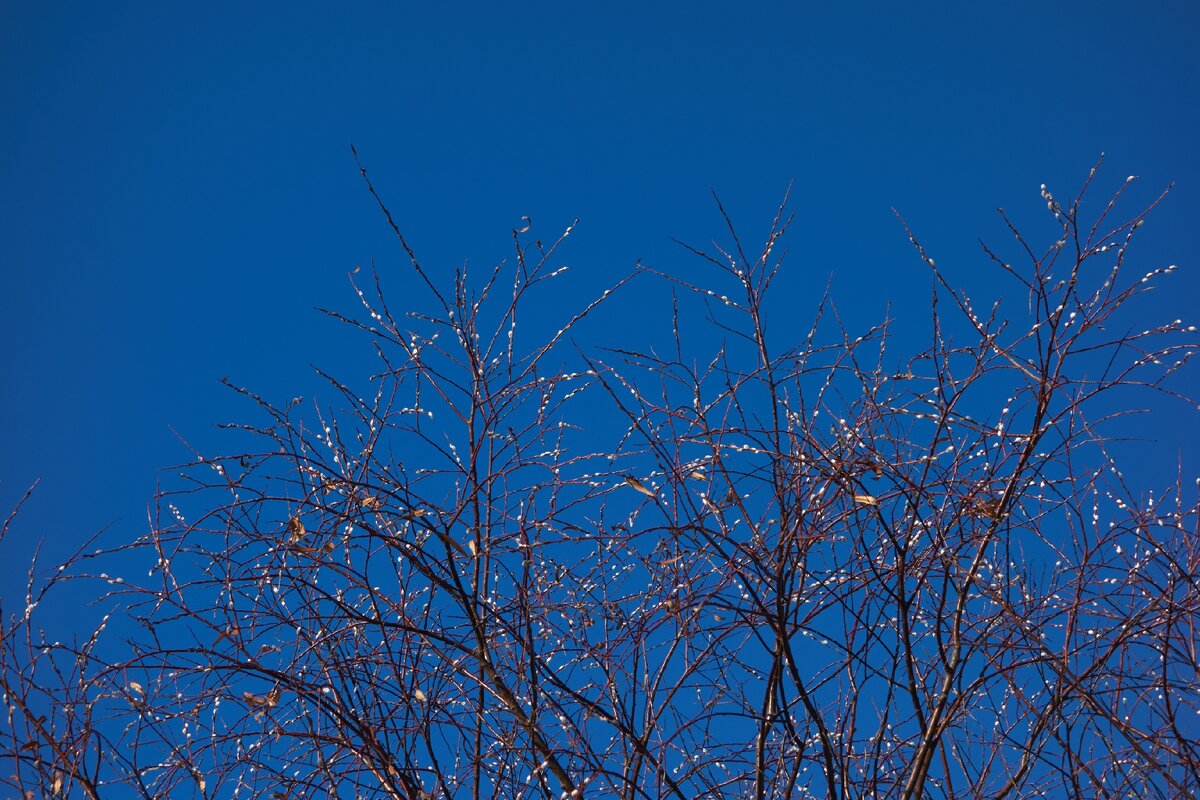 Скоро весна