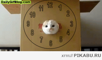 Ку ку ку ку мяу тфу Ку ку ку ку 