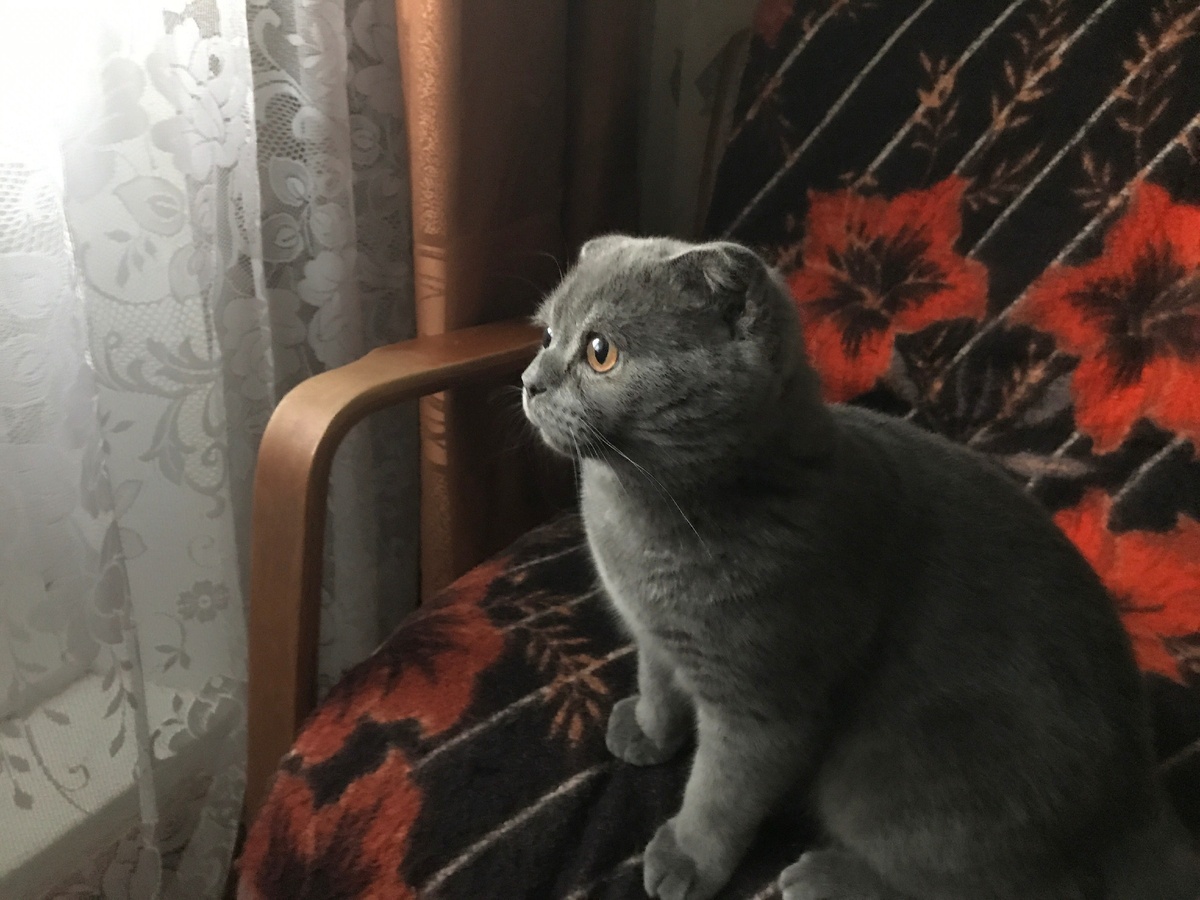 Любит призадуматься