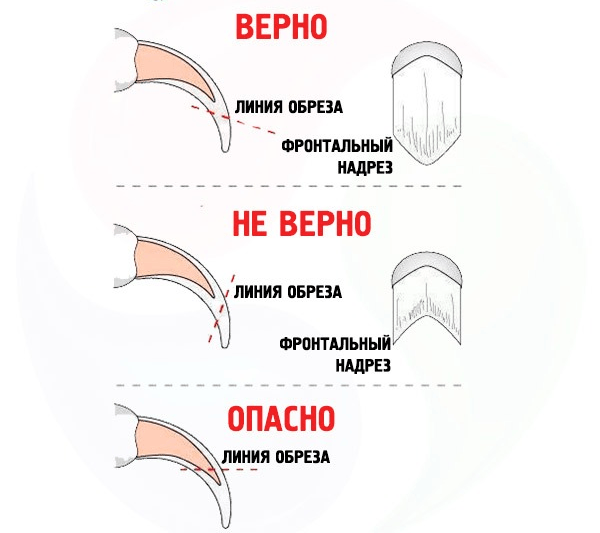 Источник: яндекс картинки