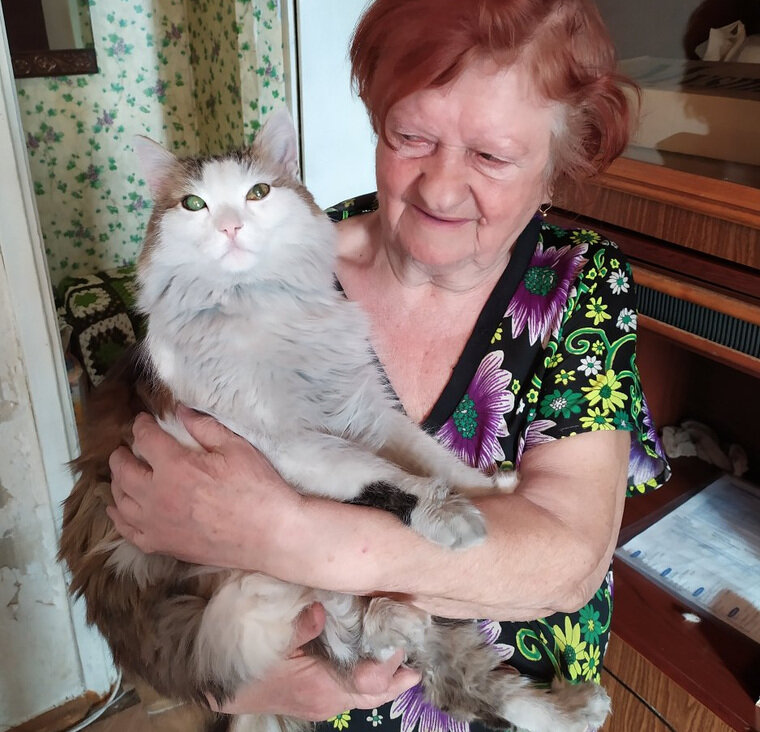 Леша котиков. Кот спасает хозяйку. Котик Леша из тик тока.