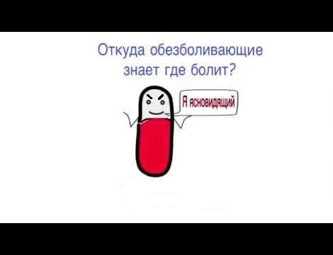 фото из открытых источников интернета.