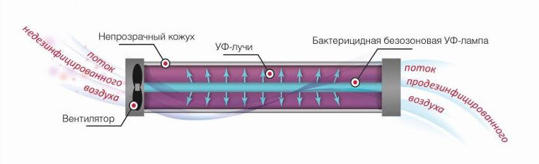 Принцип работы бактерицидной безозоновой лампы