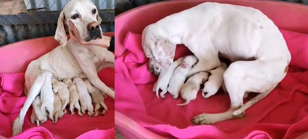 Источник фото: https://yandex.ru/images/