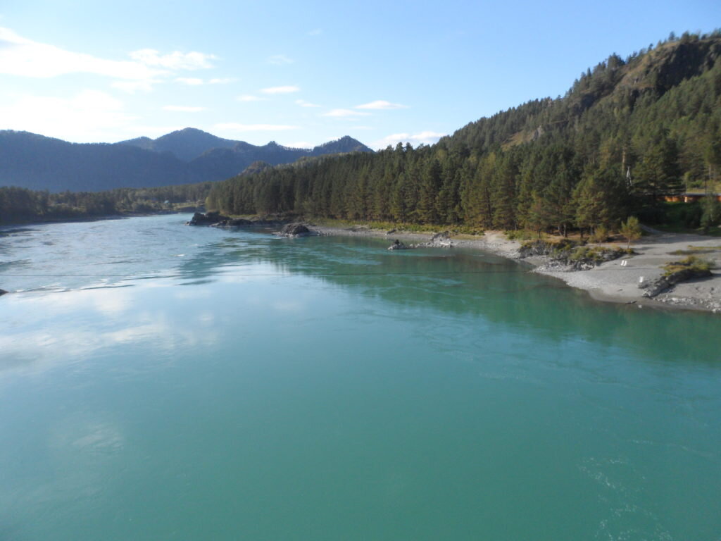 Окрестности с. Аскат. Осенью Катунь особенно красива. На заднем плане по центру видны вершины горы Царица.
Фото Татьяны Полтевой