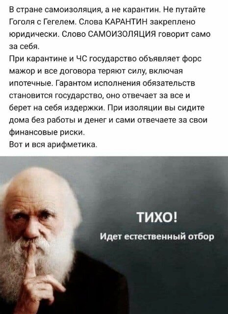 картинка из интернета