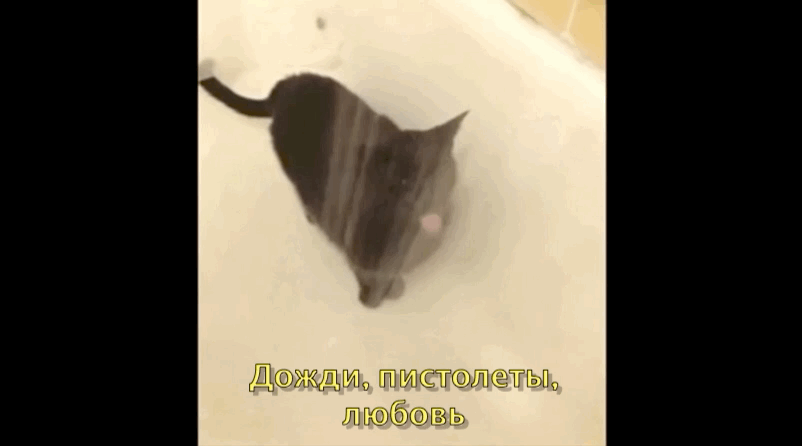 Ням ням ням ням