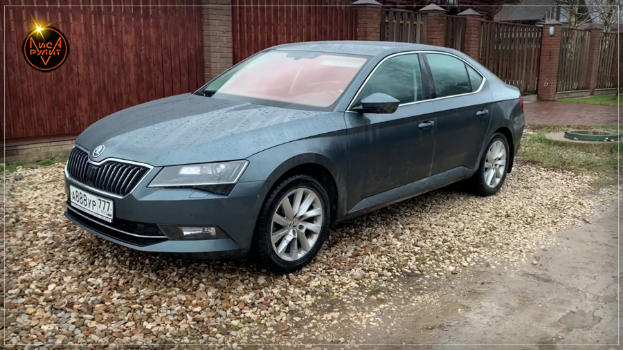 Лиса Рулит. Реальный отзыв о Skoda Superb